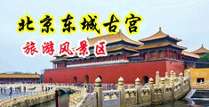 啊啊啊啊啊要操烂了啊色呦呦中国北京-东城古宫旅游风景区
